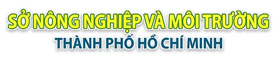 Hình ảnh