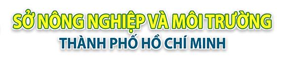 Hình ảnh